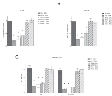 Figure 3: The NSL complex regulates the expression of c-Jun target genes. A., B. Depletion of the NSL complex subunits significantly reduces the expression of c-Jun target genes