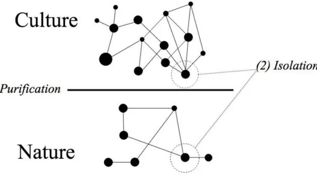 Figure 1.2. Microscopy, Steps One and Two: Purification and Isolation. 
