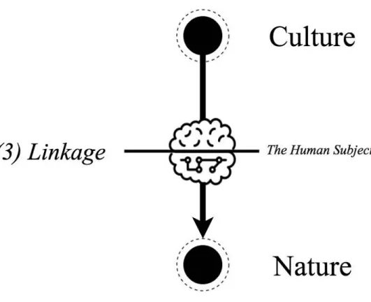 Figure 1.3. Microscopy, Step Three: Linkage. 