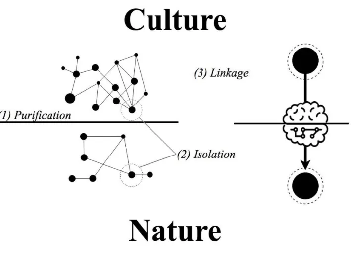 Figure 1.4 Microscopy in Three Steps 