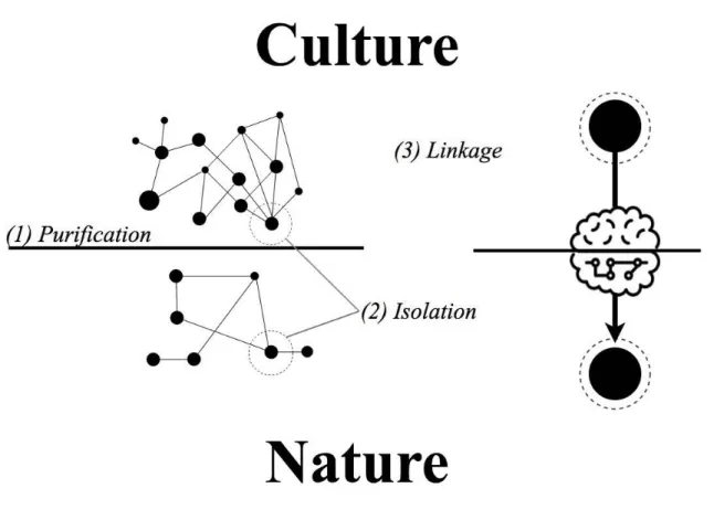 Figure 2.3. Three Steps of Microscopy. 