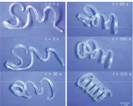 Figure 1.4  Amorphous thermoset copolyester urethane SMP. 