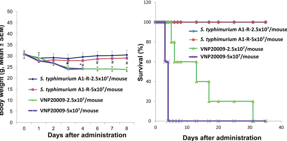 Figure 1: comparison of body weight and survival of nude mice without tumors after S. typhimurium A1-r or VnP20009 i.v