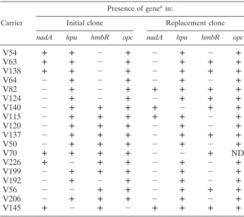 TABLE 4. Status of capsule, PorA, and FetA types during clonal replacement in individual carriers
