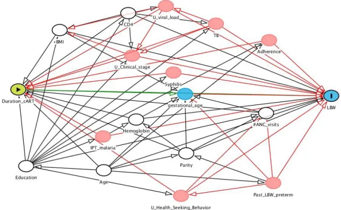 Figure 3.1. Directed Acyclic Graph for Relationship between Duration of cART and LBW 