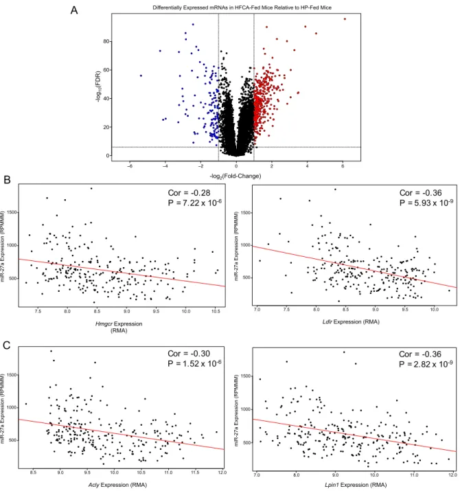 Figure 2.6: Differential expression analysis for gene expression. (A) Volcano  plot of differentially expressed liver genes between HFCA-fed and HP-fed DO mice