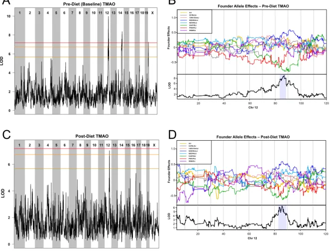 Figure 3.2: Genetic mapping of TMAO in DO mice before and after dietary  treatment. Genome-wide quantitative trait locus (QTL) scan for loci affecting TMAO  concentrations