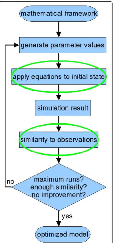 Figure 1 Overview of the modeling cycle. The modeling cyclestarts with a framework of general mathematical equations