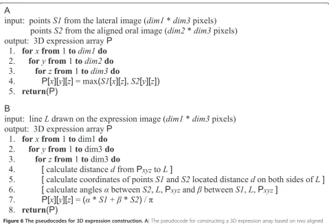 Figure 6 The pseudocodes for 3D expression construction. Aperpendicular embryo views.) The pseudocode for constructing a 3D expression array based on two aligned B) The pseudocode for calculating a 3D array from a single expression image with a manually drawn line dividingthe expression domain.