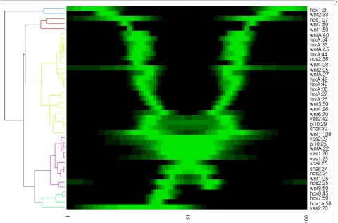 Figure 7 A 2D quantified expression profile from a single Nematostella gene expression image