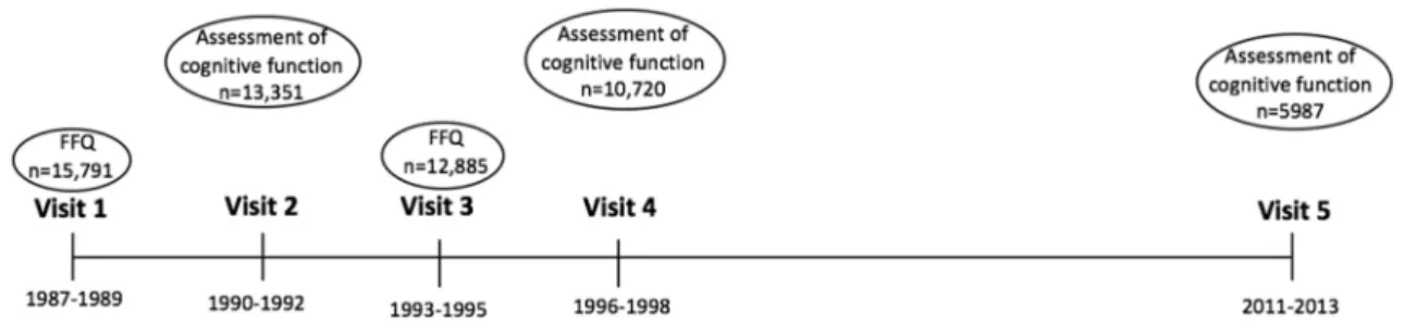 Figure 1. Timeline of the Atherosclerosis Risk in Communities (ARIC) study.