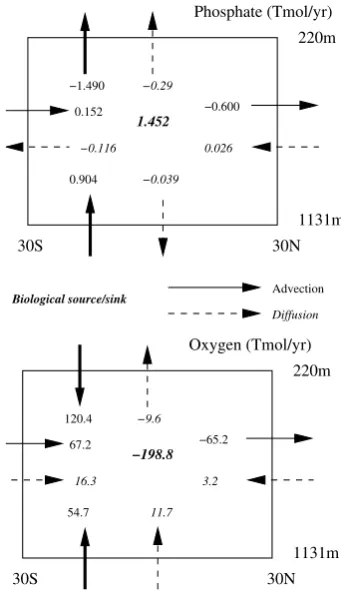 Fig. 9. Budgets of phosphate (top) and oxygen (bottom) in the 220–1131 m depth range from 30 S to 30 N in the PRINCE2A model ofGnanadesikan et al