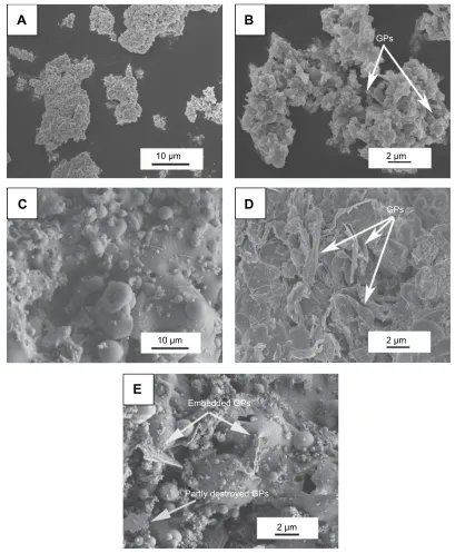 Figure 1 SEM views of the GPs/CS composite feedstock and as-sprayed coating.Notes: (A) SEM morphology of the composite powder; (B) shows high magnification of (A)