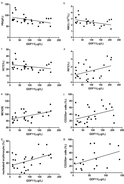 Figure 4. The relationship between plasma GDF11 and erythropoiesis index in MDS patients