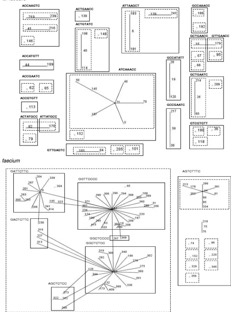 FIG. 1. An eBURST population snapshot of 51 E. faecalisThe dotted-line boxes represent clonal complexes as deﬁned by thegrouped according to their corresponding 8-nucleotide high- STs grouped into 18 SNP proﬁles and 27 E