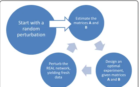 Figure 1 The adaptive input design loop.adaptive input design methodology as presented in this paper in a Figure 2 represents theflow-chart.
