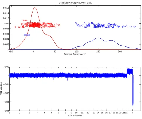 Figure 2.2: Projections on the first principal component for gliablastoma copy number data (top), and the loading vector ordered by genomic location (bottom)