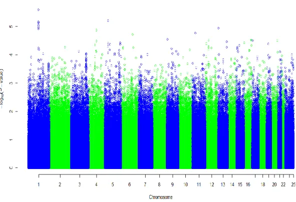 Figure 3.1: GWAS measures the strength of association between SNPs and the first principal component of toxicity on 81 cell lines
