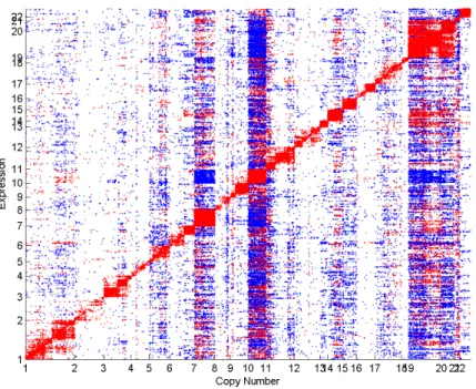 Figure 3.2: Plot of significant correlations between copy number and gene expression data on 234 GBM tumor samples