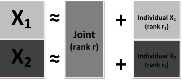 Figure 4.1: Depiction of the JIVE decomposition for two datasets. The data are approx- approx-imated by a low rank matrix of joint variation and low rank matrices giving structured variation unique to X 1 and X 2 .
