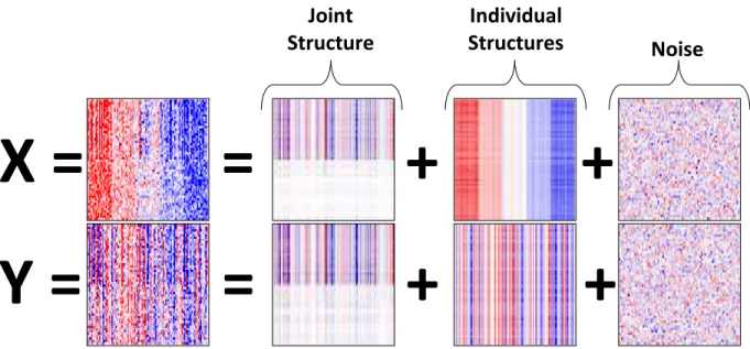 Figure 4.6: JIVE estimates for joint structure, individual structure, and noise. Blue corresponds to negative values, red positive values.