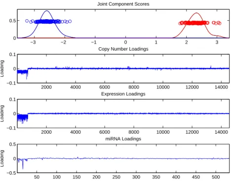 Figure 4.9: Joint component scores and loadings. Scores are colored by artificial cluster and show good separability