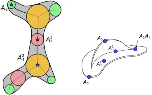 Figure 2.1: Different classes of medial points classified by Giblin and Kimia [2004]. Left: for a 2D object