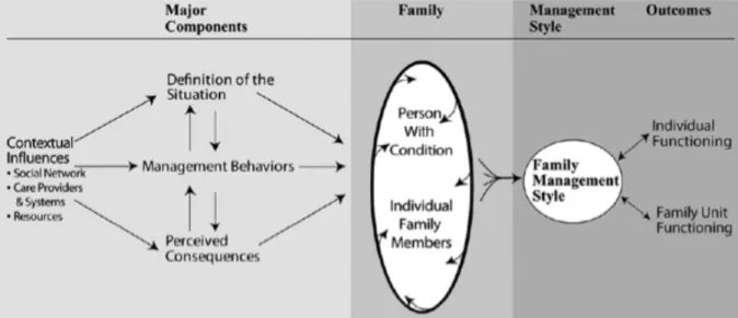 Figure 1.1. Family Management Style Framework 