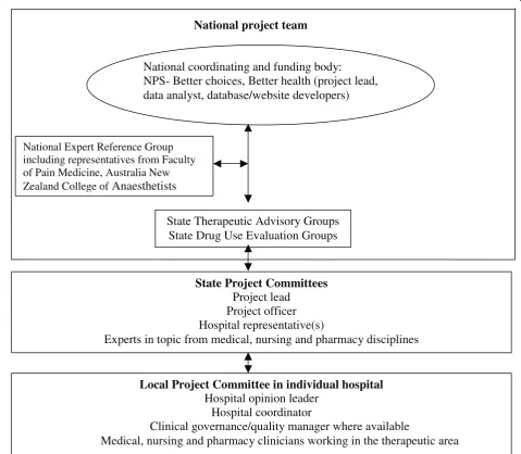 Figure 2 Flow chart of the organisational structure for the national Drug Use Evaluation program for hospitals