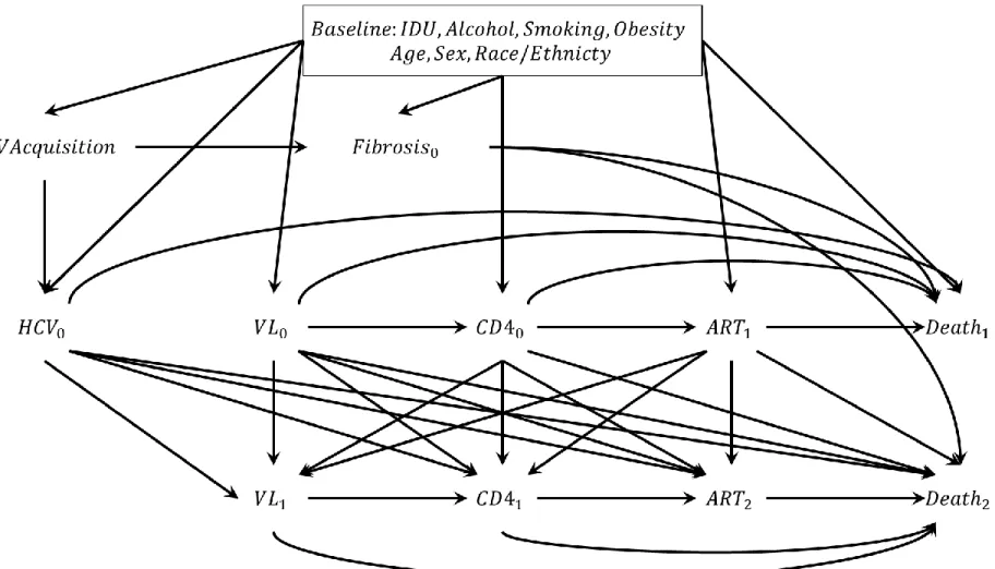 Figure 3.1: Causal diagram used to select confounders 