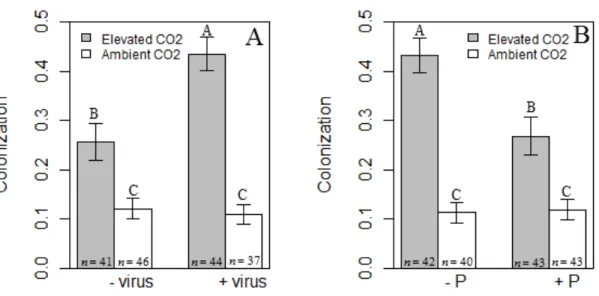 Figure 2.2. Results for root colonization by AMF. Across plant species, virus infection  increased root colonization by mycorrhizal fungi under elevated CO 2  but not under  ambient CO 2  (A)