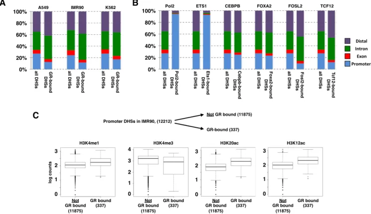 Figure 3. Genomic distribution of DHSs and of GR-bound DHSs. (A) Distribution of all DHSs and of GR-bound DHSs in cell lines as indicated relative to annotated genomic features (promoters: ±2.5 kb from TSS; exons, introns and distal (rest))