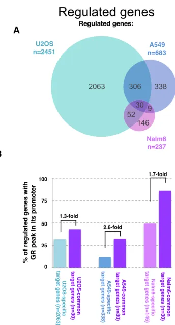 Figure 6. Link between promoter–proximal binding and cell type-specific gene regulation by GR
