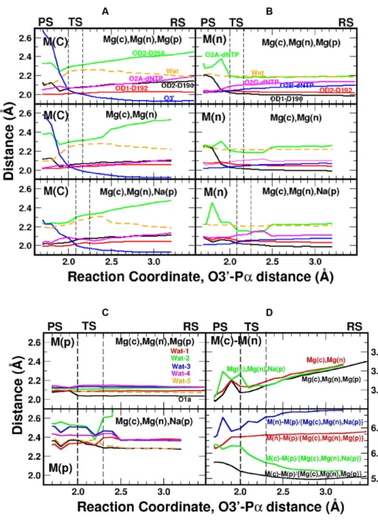 Figure 5. Metal coordination distance variations along the reaction coordinate. (A) Coordination distances for the catalytic, (B) nucleotide binding, and (C) product metal sites