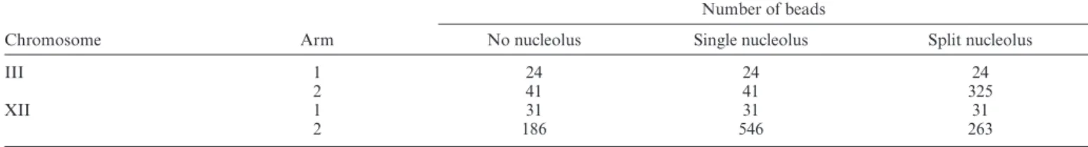 Table 1. Summary of number of beads used in each type of simulation