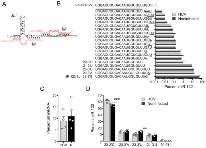 Figure 1. Natural variation in the 3  terminal bases of the HCV host factor, miR-122