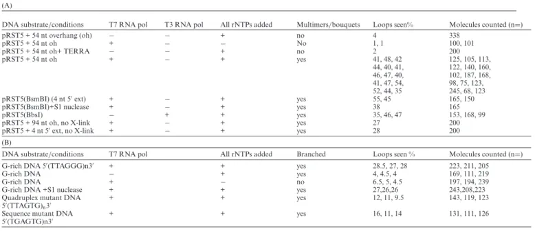 Table 1. Summary of EM scoring of over 6500 single molecules from the transcription experiments