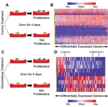 Figure 5. Linking gene expression changes to differences in proliferation after drug treatment