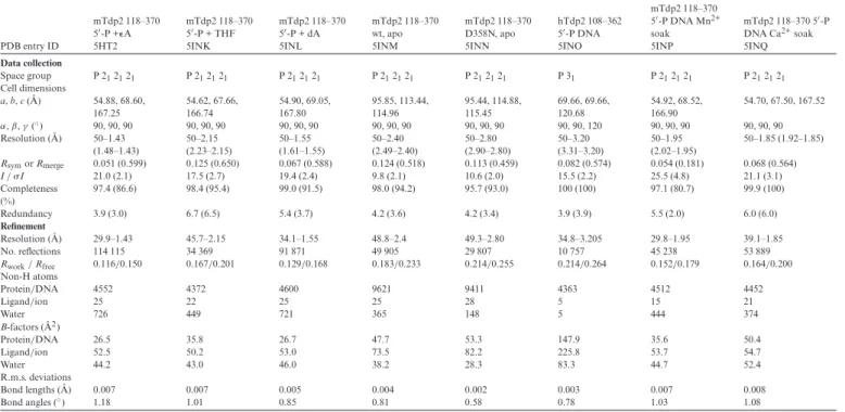 Table 1. Data collection and refinement statistics mTdp2 118–370 5  -P + ⑀A mTdp2 118–3705-P + THF mTdp2 118–3705-P + dA mTdp2 118–370wt, apo mTdp2 118–370D358N, apo hTdp2 108–3625-P DNA mTdp2 118–3705-P DNA Mn 2+soak mTdp2 118–370 5  -PDNA Ca2+soak