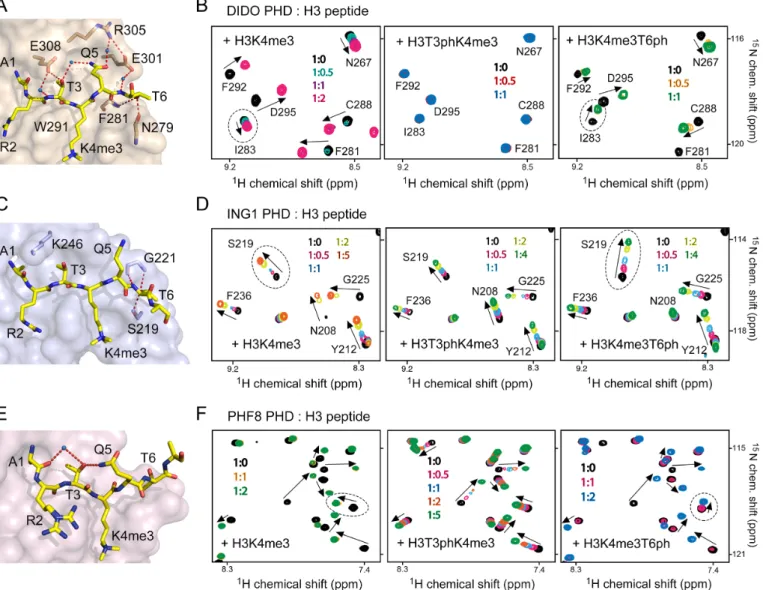 Figure 1. Phosphorylation of histone H3T3 and H3T6 differentially affects binding of the PHD fingers to H3K4me3