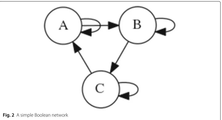 Fig. 2 A simple Boolean network