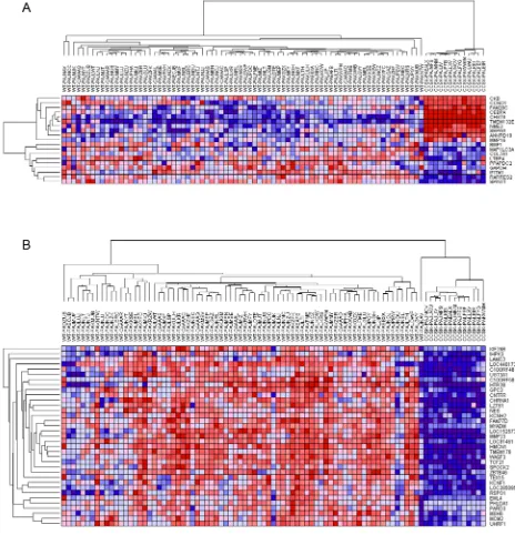 Figure 3: Hierarchical analysis of gene expression. Genes under-expressed are shown in blue, and those over-expressed are shown in red