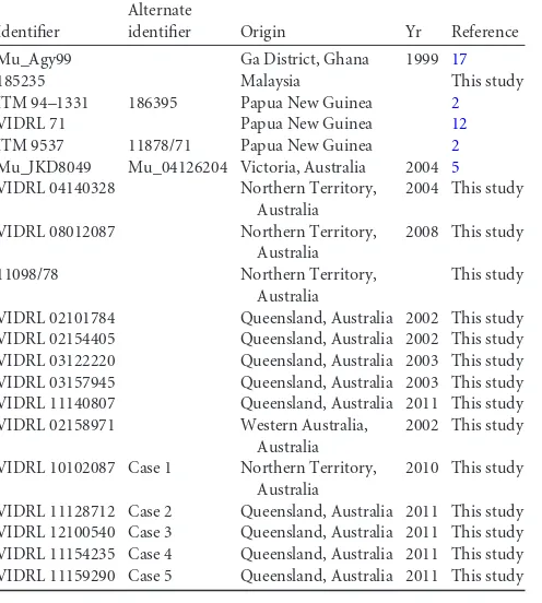 TABLE 2 Mycobacterium ulcerans strains used in this study