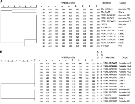 TABLE 3 Sequence alignment of genomic regions containing polymorphisms that differentiate M
