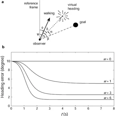 Figure 2.17: Heading error as a function of time and amount of optic flow. An image from (Warren et al., 2001).