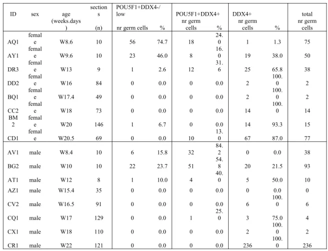 Table 1. Quantification of germ cells in human  adrenals ID sex age sections  POU5F1+DDX4-/