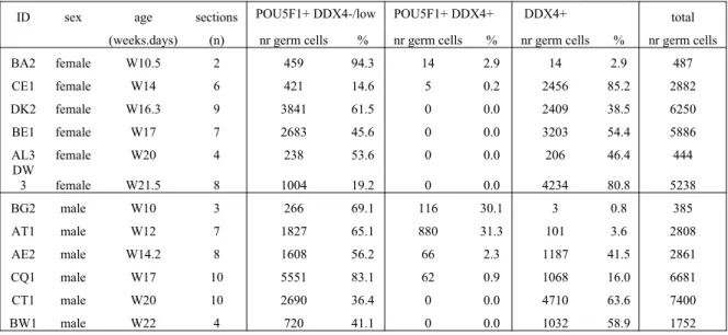 Table 2. Quantification of germ cells in human gonads