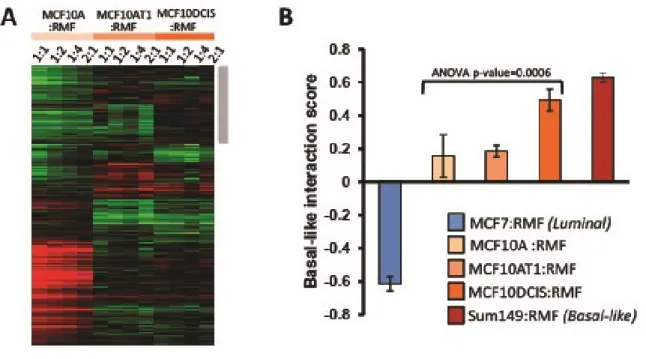 Figure  2.2.  The  MCF10A  series  progressively  acquires  “Basal-like  microenvironment”  characteristics