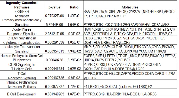 Table  2.1.  IPA  pathway  analysis  of  genes  upregulated  in  MCF10DCIS:RMFs  direct  cocultures