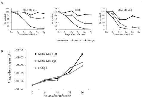 Figure 2 GLV-1h153 kills and replicated efficiently in breast cancer cell lines in vitro
